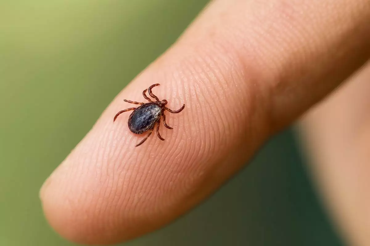 Un'immagine generica segnaposto con angoli arrotondati in una figura.